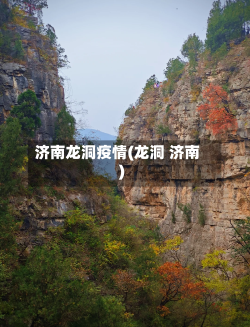 济南龙洞疫情(龙洞 济南)-第2张图片