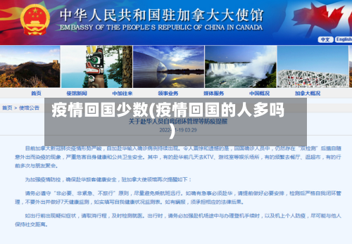疫情回国少数(疫情回国的人多吗)-第1张图片