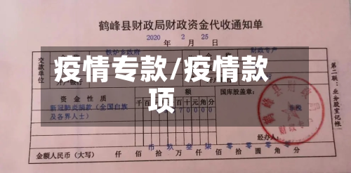 疫情专款/疫情款项-第1张图片