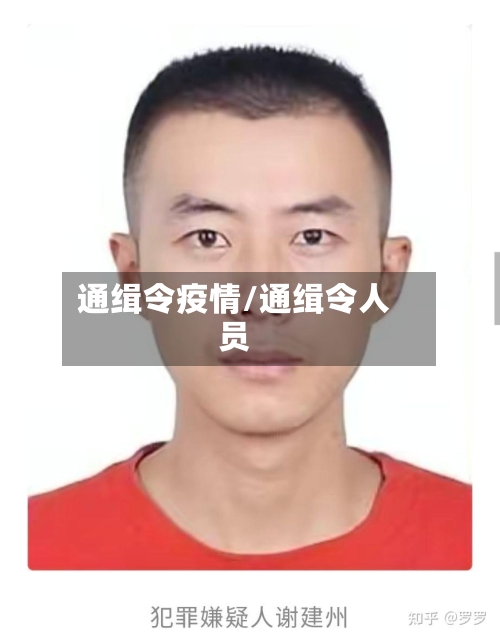 通缉令疫情/通缉令人员-第3张图片