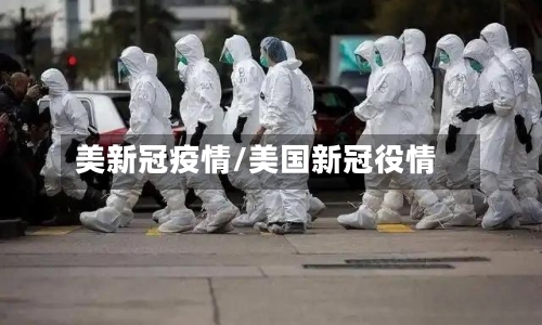 美新冠疫情/美国新冠役情-第3张图片