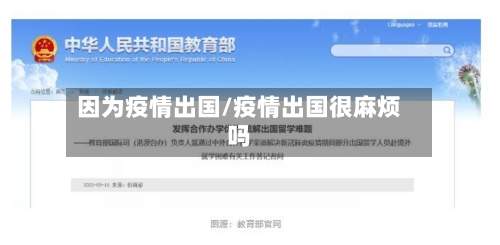 因为疫情出国/疫情出国很麻烦吗
