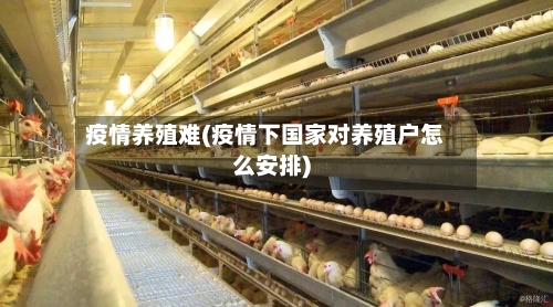 疫情养殖难(疫情下国家对养殖户怎么安排)